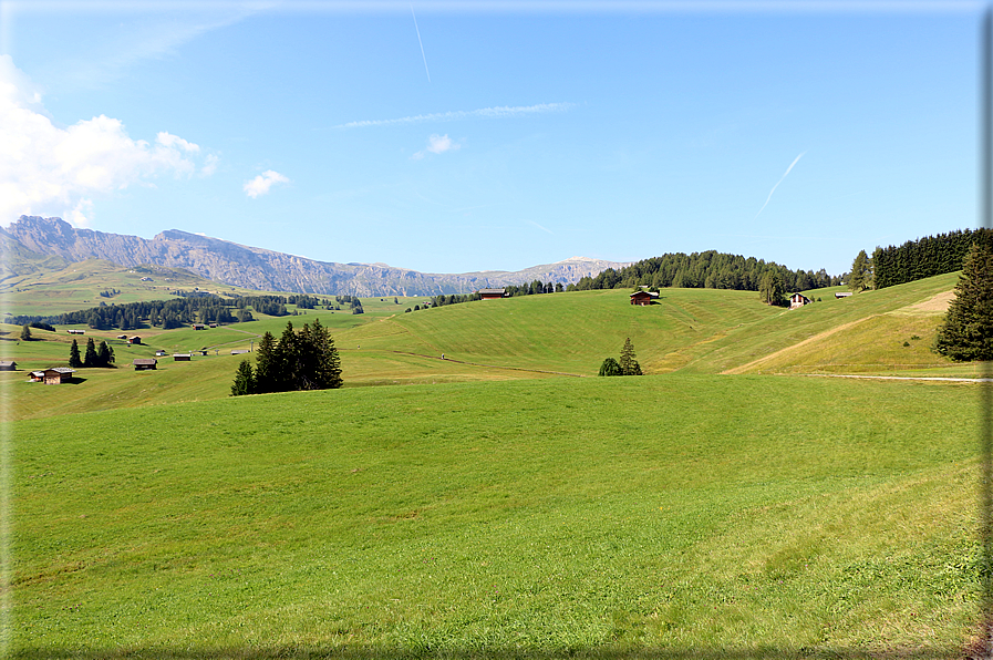 foto Alpe di Siusi